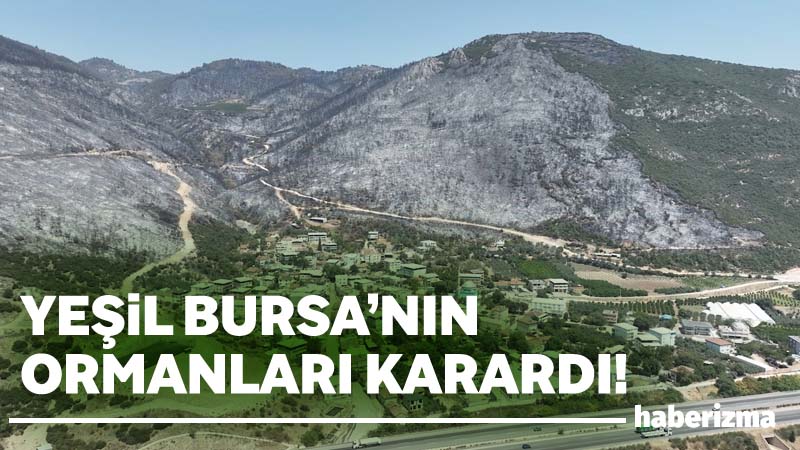 Bursa’nın ciğerlerini yakıp kavuran orman yangınlarından geriye karanlık ve sessizlik