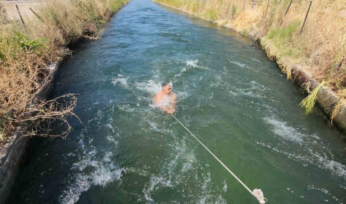 Termometrelerin 40 dereceyi gösterdiği Bursa’nın Mustafakemalpaşa ilçesinde sıcaktan bunalan gençler