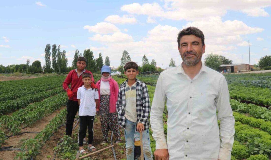 Eskişehir’de sıcaklıkların 40 derecelere kadar yükseldiği günlerde mevsimlik tarım işçilerinin