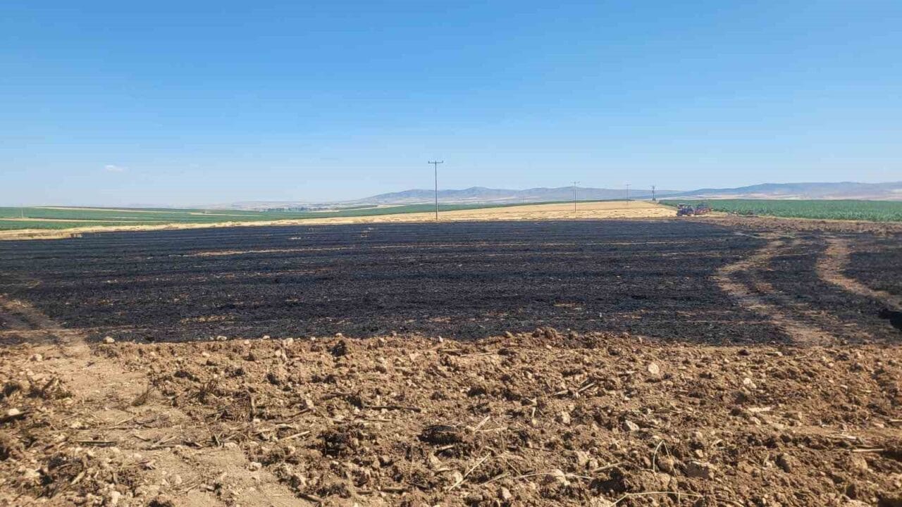 Eskişehir’de buğday hasadı sonrasında 40 dönümlük tarım arazisinde yangın çıktı.