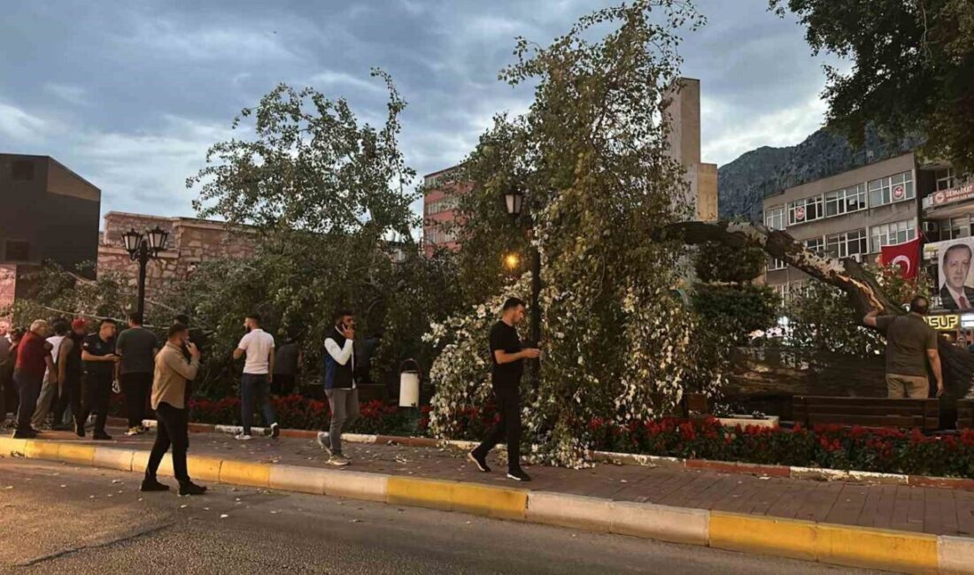 Isparta’nın Eğirdir ilçesinde Çevre, Şehircilik ve İklim Değişikliği Bakanlığı Tabiat