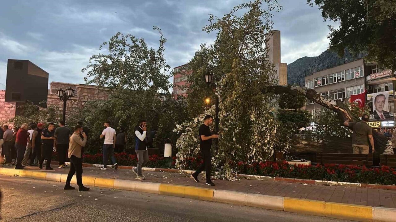 Isparta’nın Eğirdir ilçesinde Çevre, Şehircilik ve İklim Değişikliği Bakanlığı Tabiat