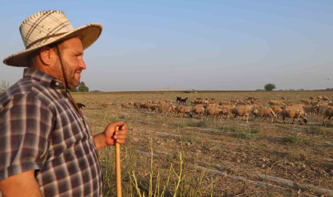 Nemle birlikte hissedilen sıcaklığın 50 derece olduğu Adana’nın Kozan ilçesinde