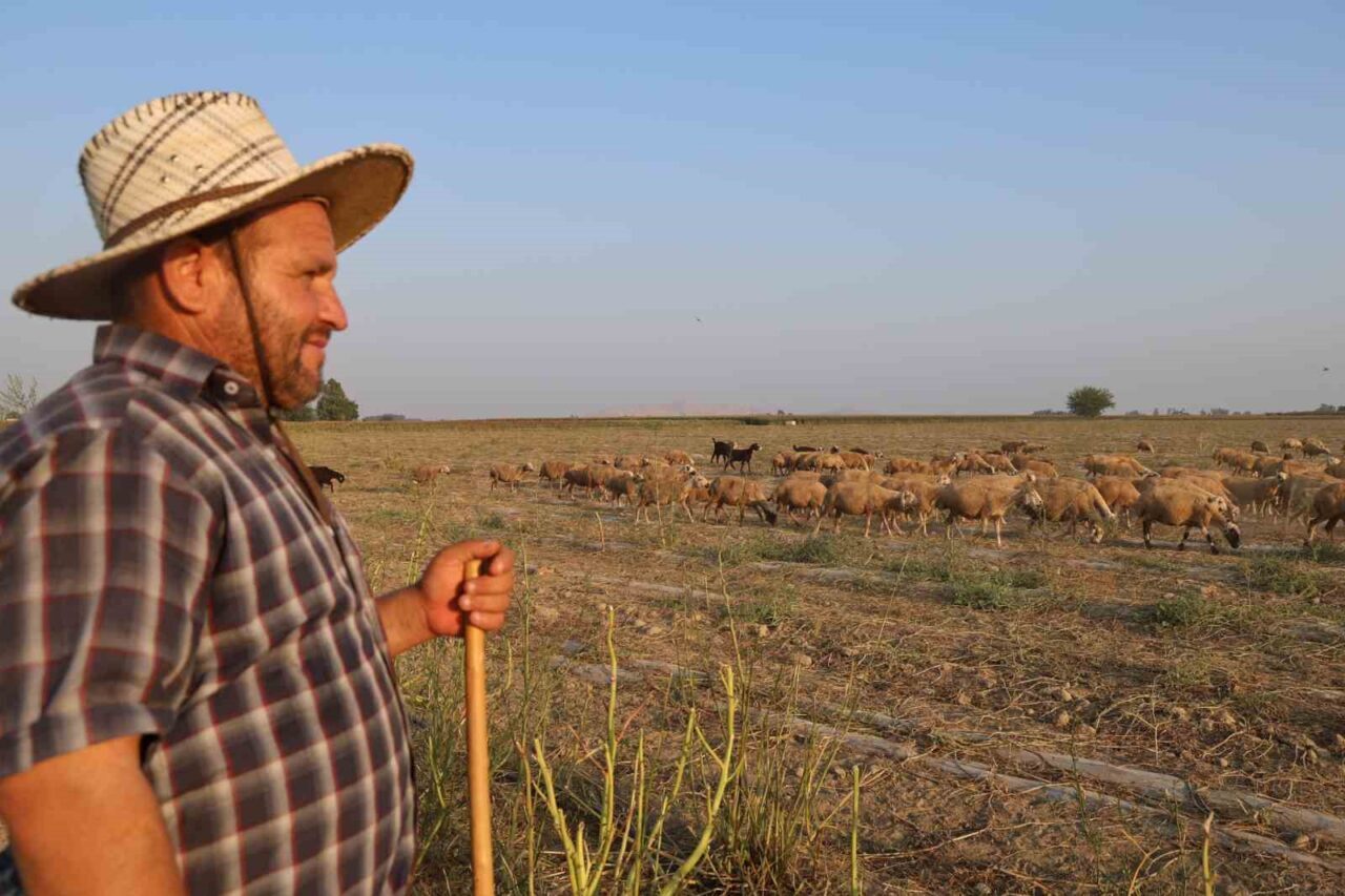 Nemle birlikte hissedilen sıcaklığın 50 derece olduğu Adana’nın Kozan ilçesinde