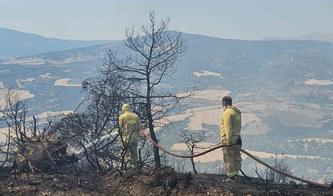 Denizli’de yanan evden ormanlık alana sıçrayan yangında 7 hektarlık alan