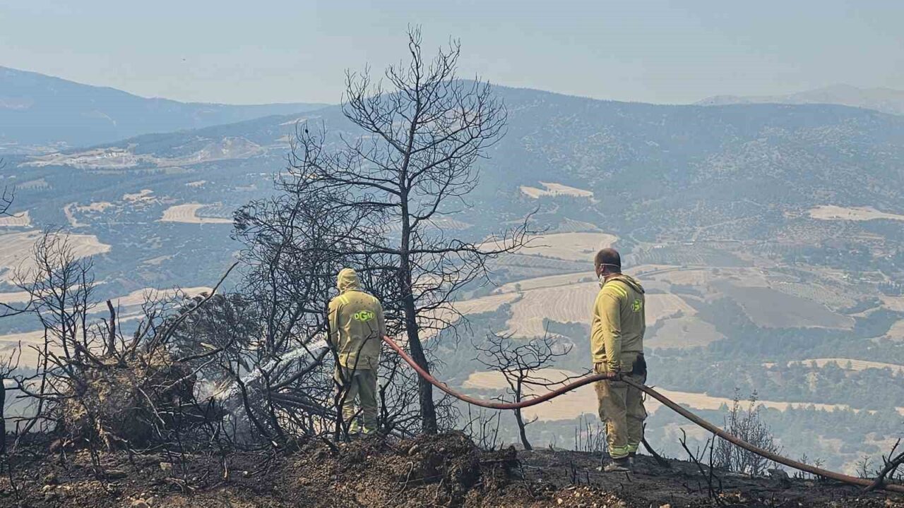Denizli’de yanan evden ormanlık alana sıçrayan yangında 7 hektarlık alan