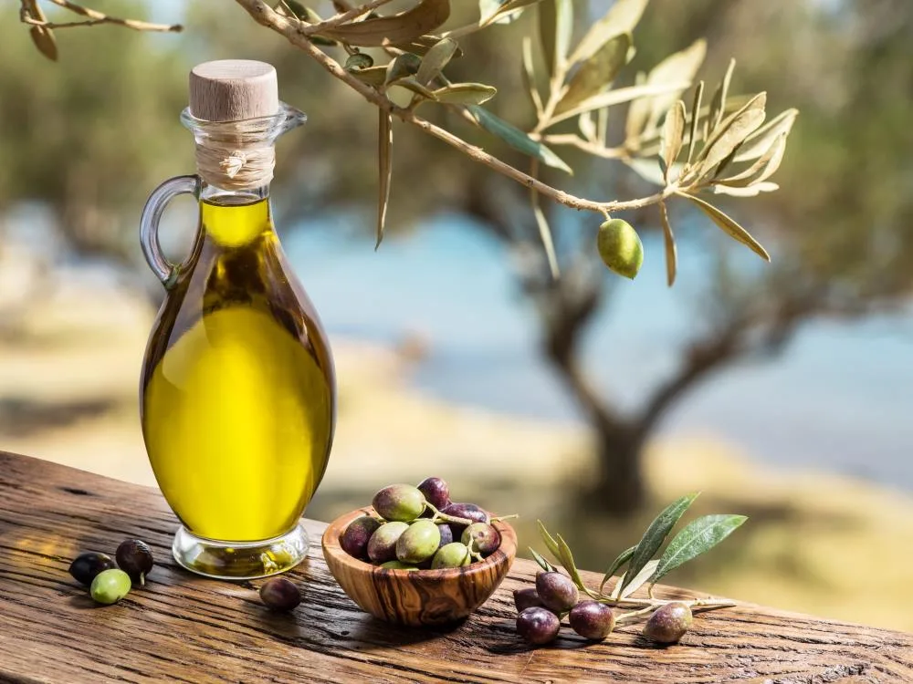 Zeytinde, geçen döneme göre yüzde 40 ya da daha fazla