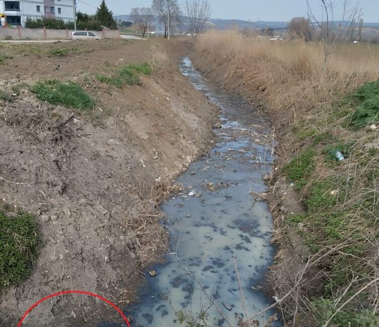 Bursa’nın İnegöl ilçesinde, açıkta akan lağım karıştığı dere, mahalle sakinlerini