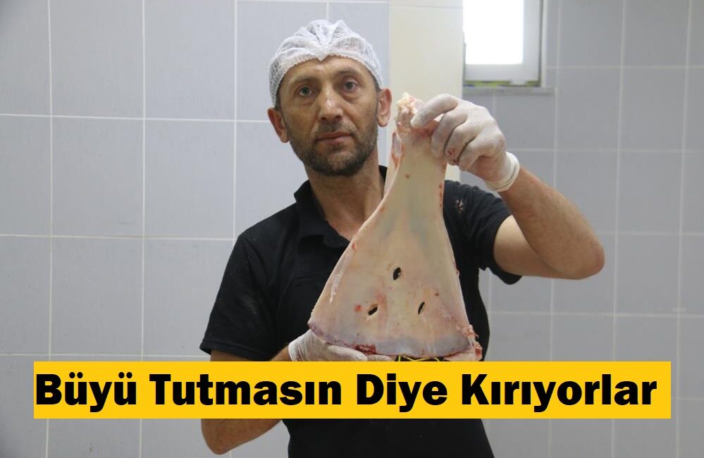 Selçukludan günümüze kadar devam eden gelenekle beraber küçükbaş hayvanlardan çıkan