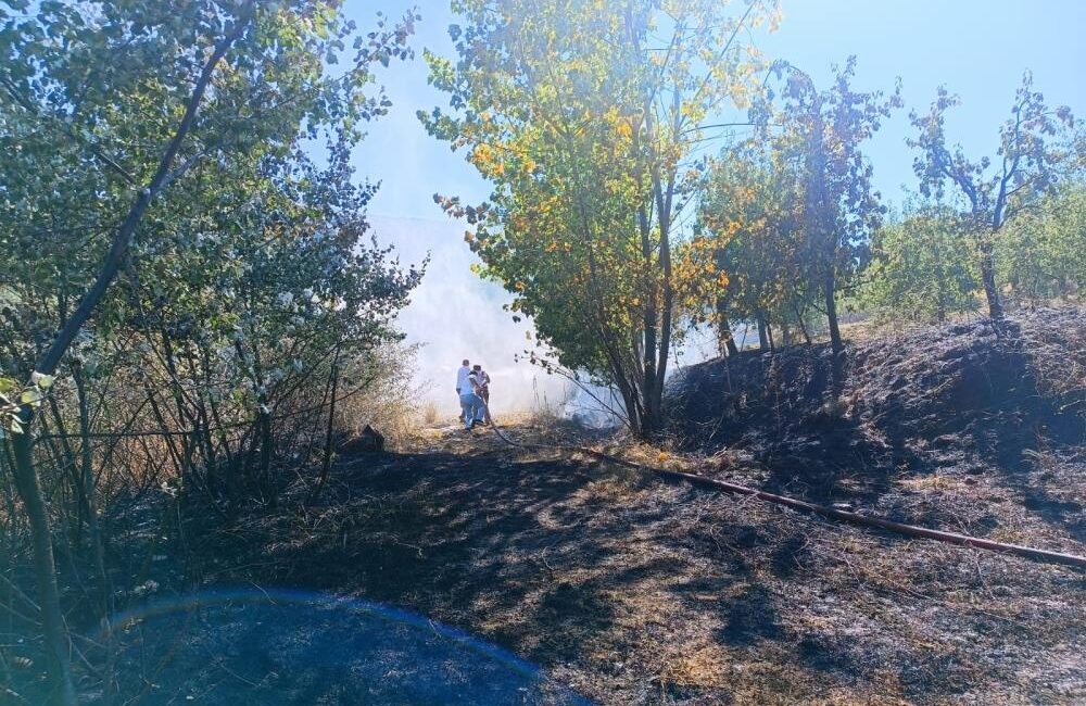 Bursa’nın İnegöl ilçesinde çıkan orman yangını, ekiplerin ve vatandaşların müdahalesiyle