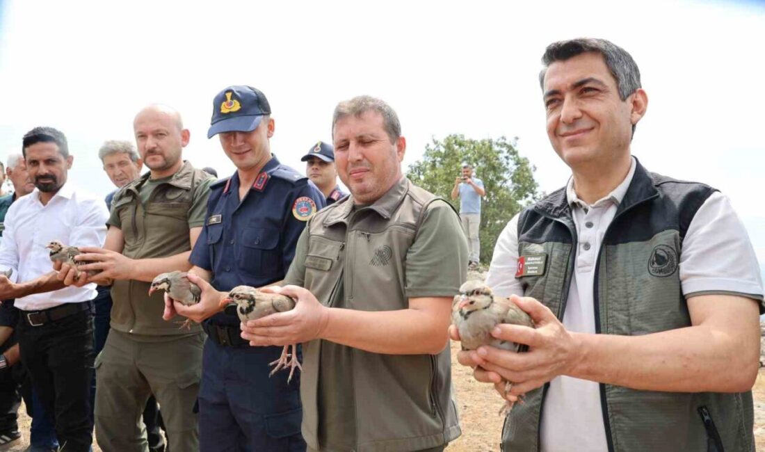 Adana’nın Kozan ilçesine bağlı Salmanlı Mahallesi’nde keneyle doğal yollarla mücadele