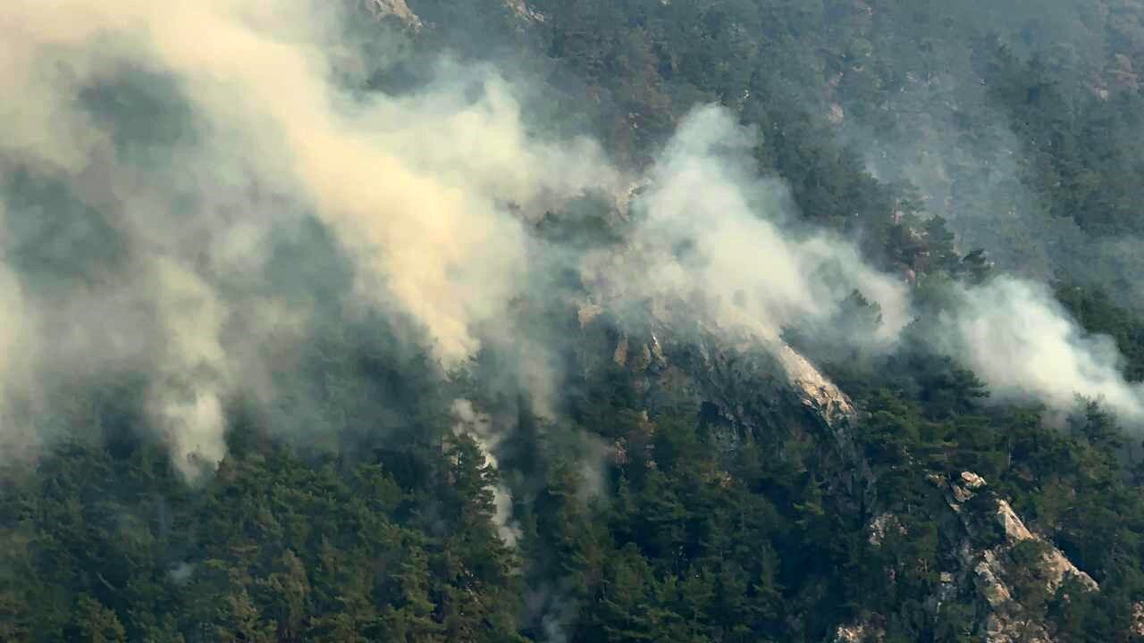 Adana’nın Aladağ, Kozan ve Sarıçam ilçelerinde çıkan orman yangınları kontrol
