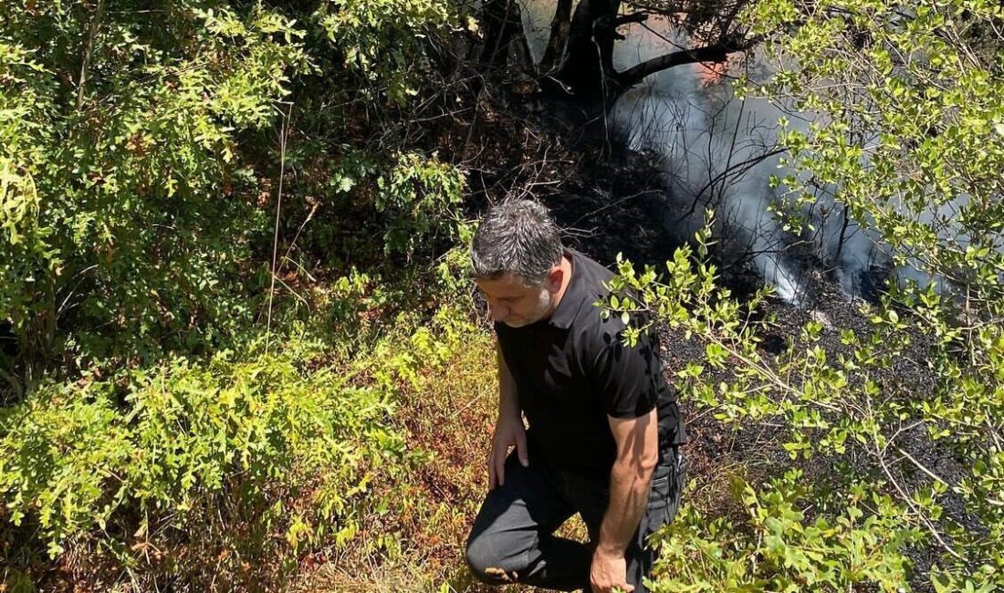 Sakarya’nın Adapazarı ilçesinde çıkan orman yangını, ekiplerin havadan ve karadan