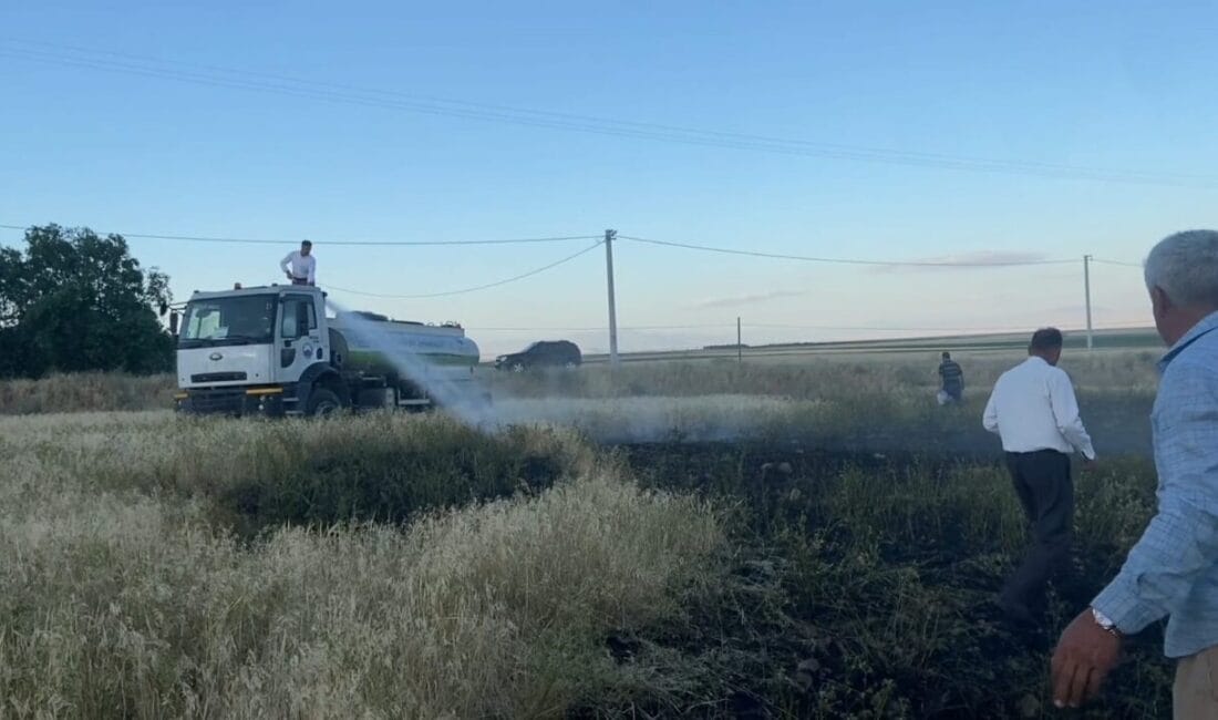 Bitlis’in Adilcevaz ilçesine bağlı Aydınlar beldesinde çıkan tarla yangını paniğe