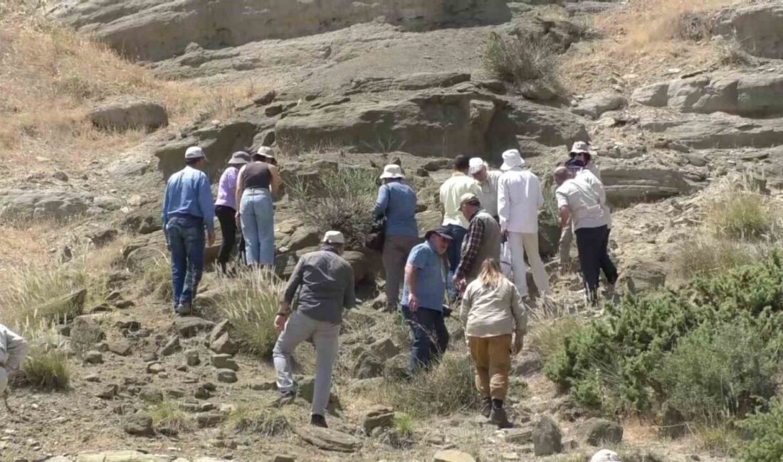 Türkiye’de tek ve nadir olan Adıyaman’da ki jeolojik yapıların korunması
