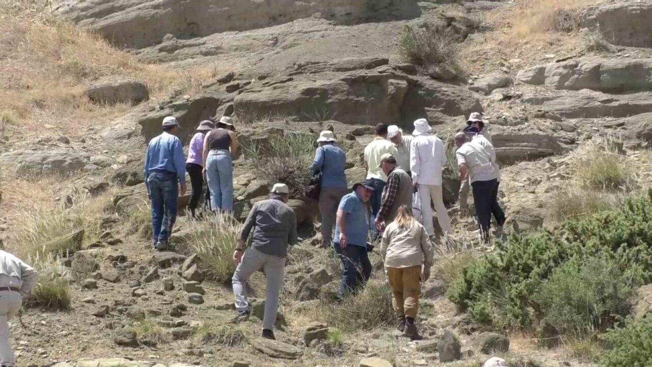 Türkiye’de tek ve nadir olan Adıyaman’da ki jeolojik yapıların korunması