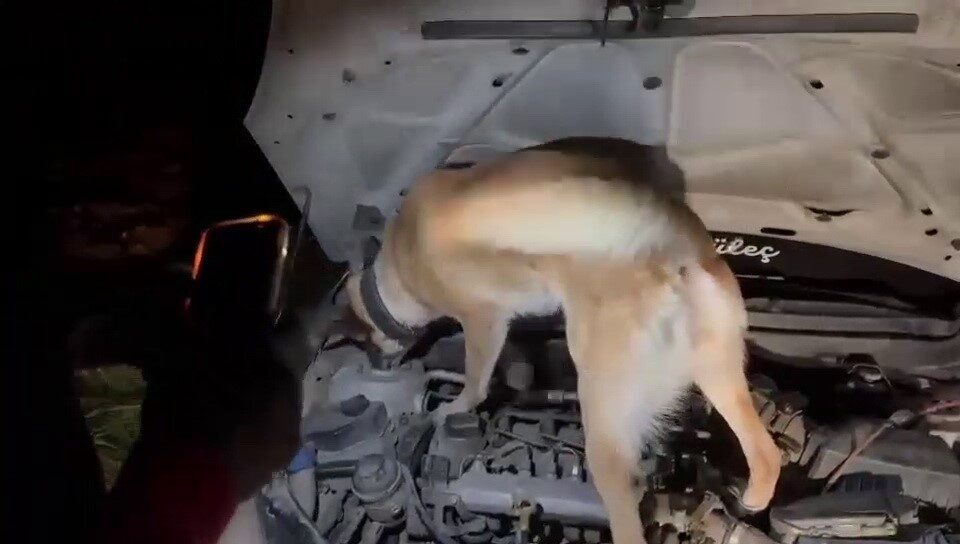 Adıyaman’da yaklaşık 38 günde 201 şahsa uyuşturucudan işlem yapıldı. Adıyaman