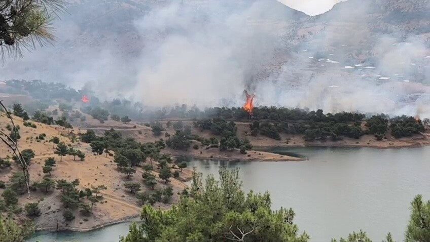 Adıyaman’da, ormanlık alanda çıkan yangın kokuttu. Yangın yerine çok sayıda