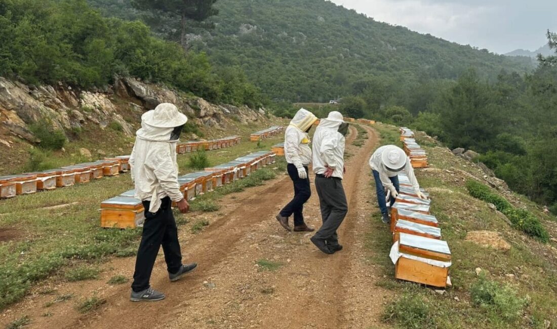 Adıyaman Arı Yetiştiricileri Birliği Başkanı Mehmet Yaşar Yiğit, 2025 yılı