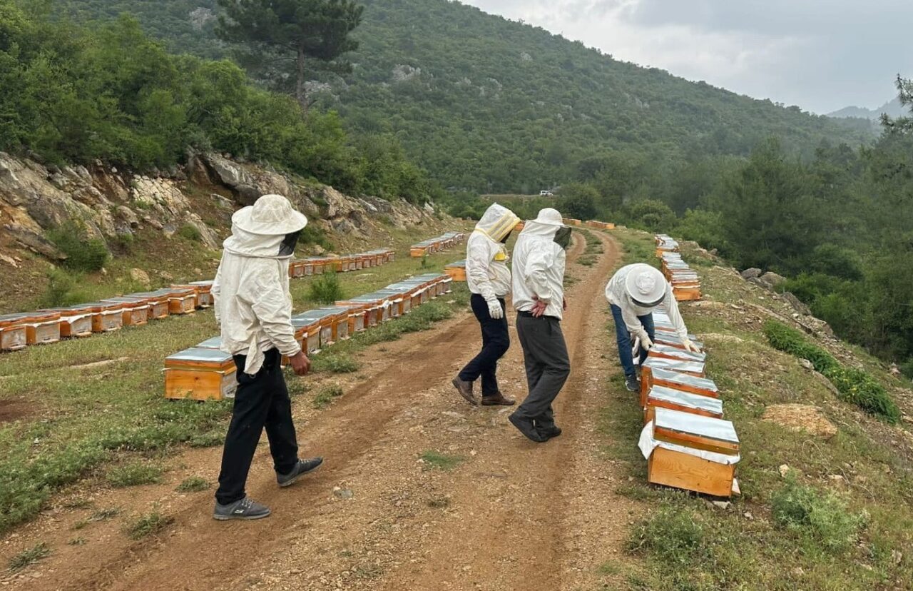Adıyaman Arı Yetiştiricileri Birliği Başkanı Mehmet Yaşar Yiğit, 2025 yılı