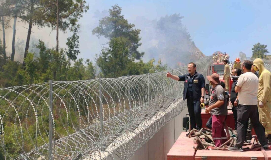 İçişleri Bakanlığı Afet ve Acil Durum Yönetimi Başkanlığı (AFAD) tarafından