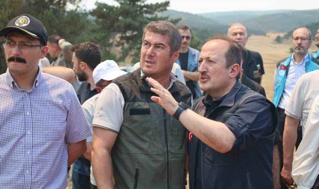 ANKARA (İHA) – Afet ve Acil Durum Yönetimi Başkanlığı (AFAD)