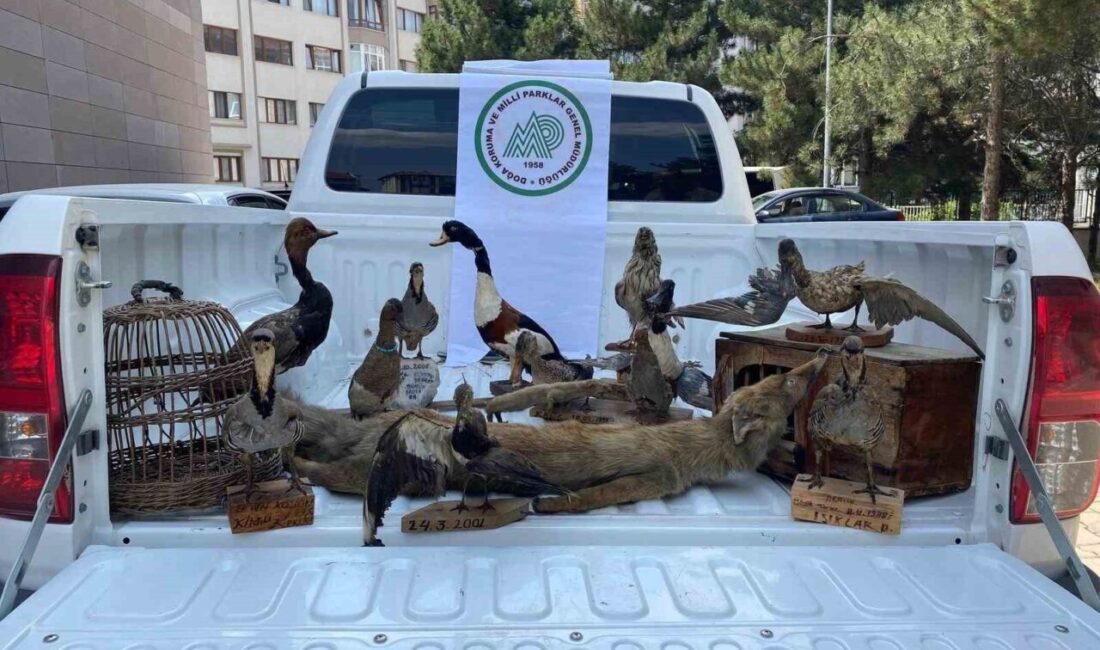 Afyonkarahisar’da bir ikamette yapılan aramada 14 adet tahnit edilmiş hayvan