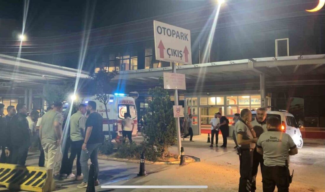 Afyonkarahisar’ın İhsaniye ilçesine bağlı Sarıcaova Köyü’nde çıkan orman yangınına müdahale