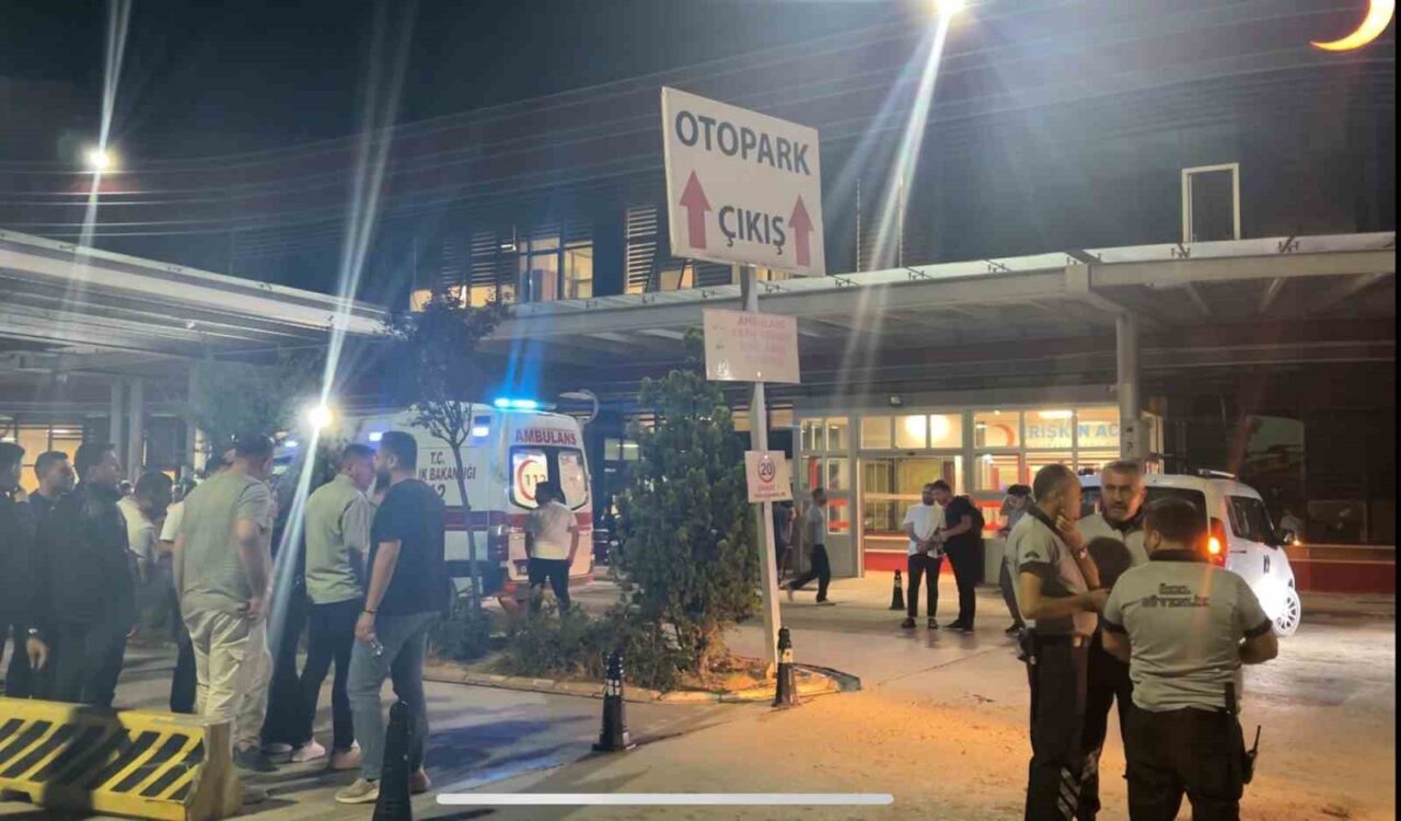 Afyonkarahisar’ın İhsaniye ilçesine bağlı Sarıcaova Köyü’nde çıkan orman yangınına müdahale