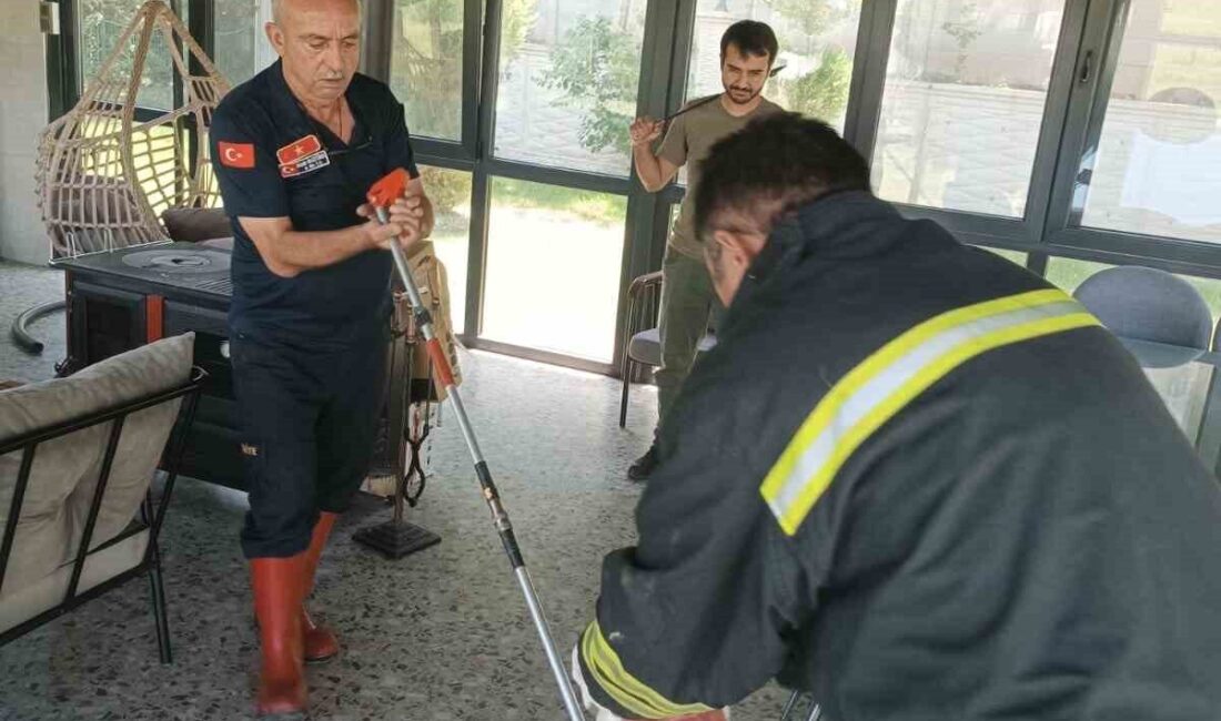 Hava sıcaklıklarının 35 derece seviyelerinde seyrettiği Afyonkarahisar’da kent merkezindeki mahallelerde