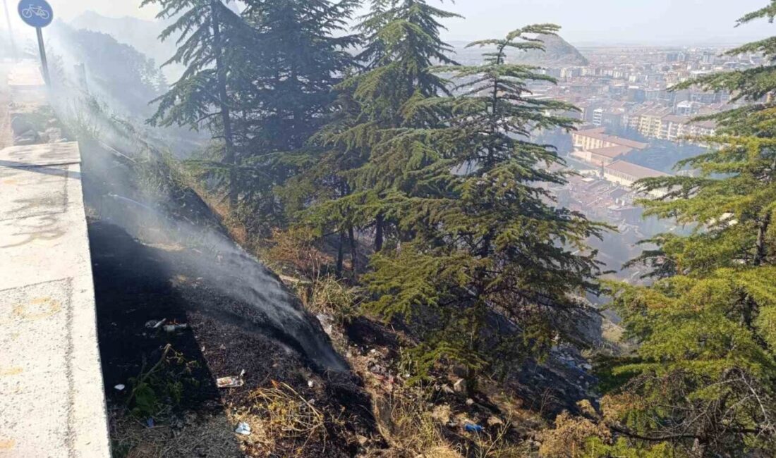 Afyonkarahisar’da ormanlık alanda çıkan ot yangını itfaiye ve orman işletme