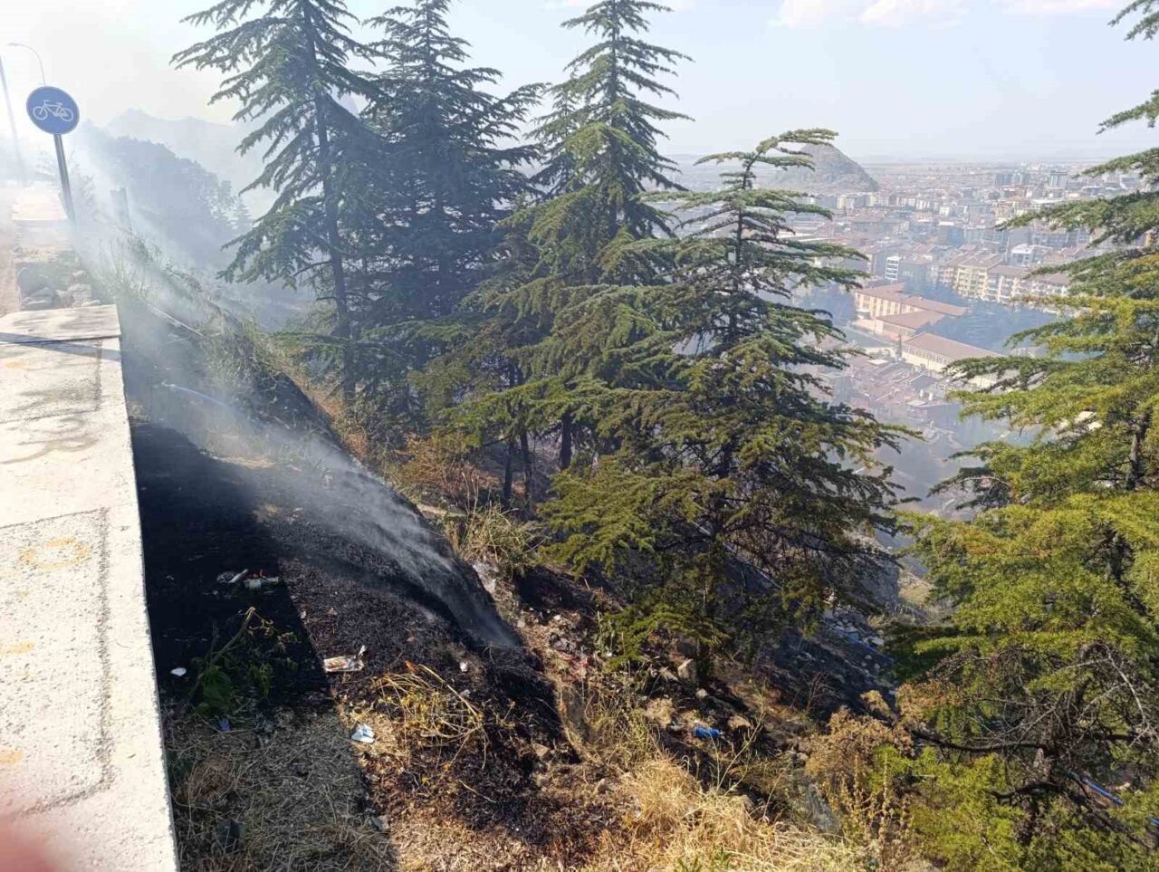 Afyonkarahisar’da ormanlık alanda çıkan ot yangını itfaiye ve orman işletme