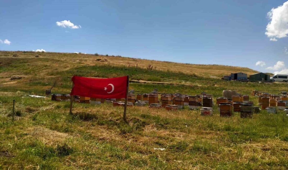 Cumhurbaşkanı Recep Tayyip Erdoğan’ın “Her sokak, her cadde, her hane