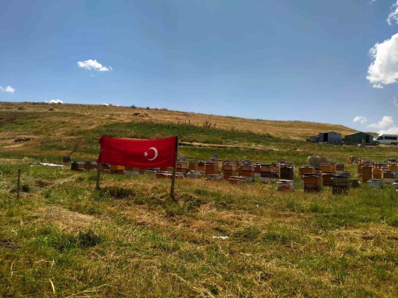 Cumhurbaşkanı Recep Tayyip Erdoğan’ın “Her sokak, her cadde, her hane