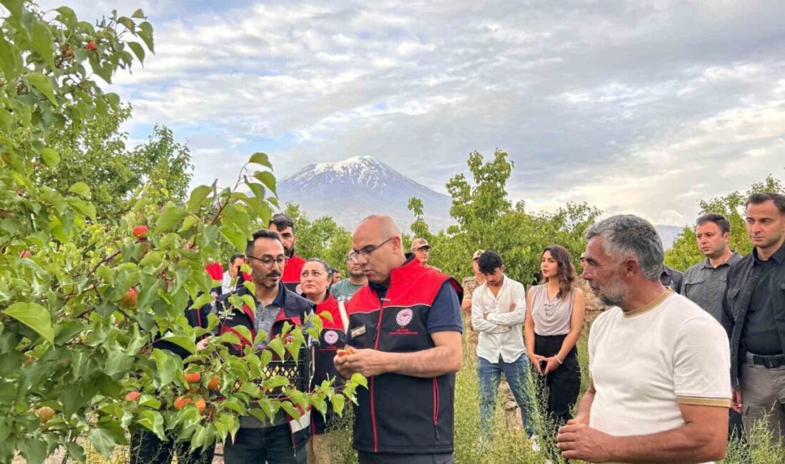 Ağrı Valisi Mustafa Koç, Doğubayazıt ilçesinde bir dizi ziyaret ve