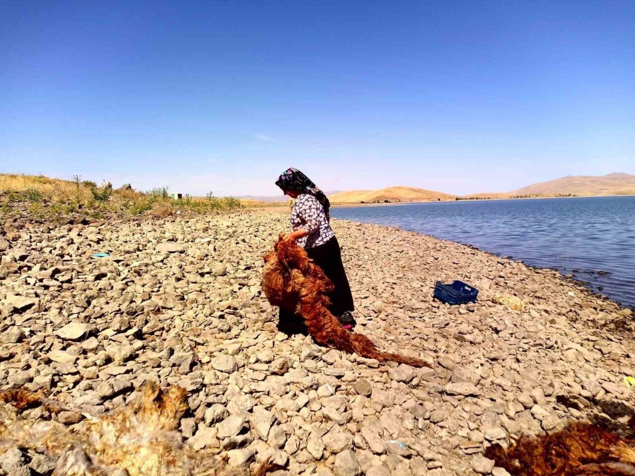 Ağrı’nın Patnos ilçesinde asırlardır süregelen bu gelenek, teknoloji ilerlese de