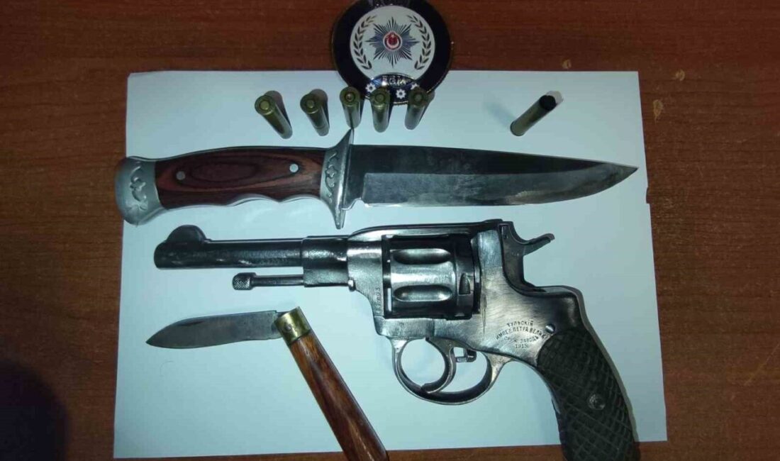 Ağrı’da aralarında husumet bulunan iki kardeşin kavgası hastanede son buldu.