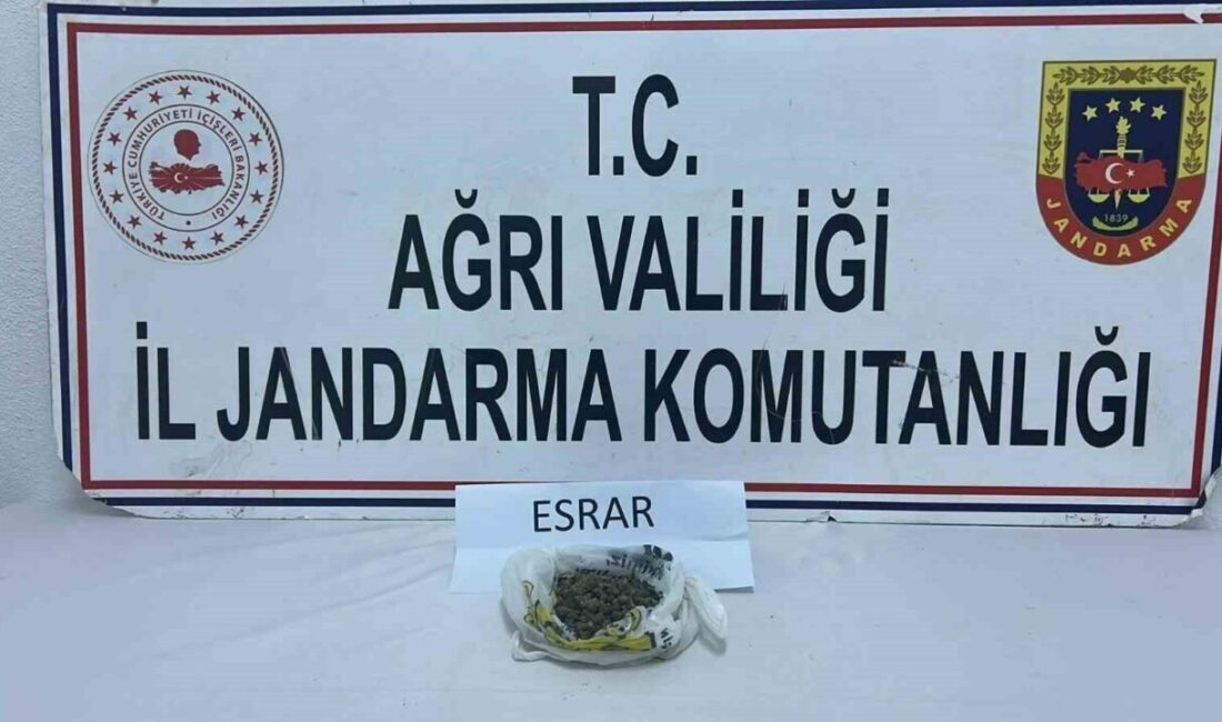 Ağrı’nın Patnos ve Doğubayazıt ilçelerinde düzenlenen iki ayrı uyuşturucu operasyonunda