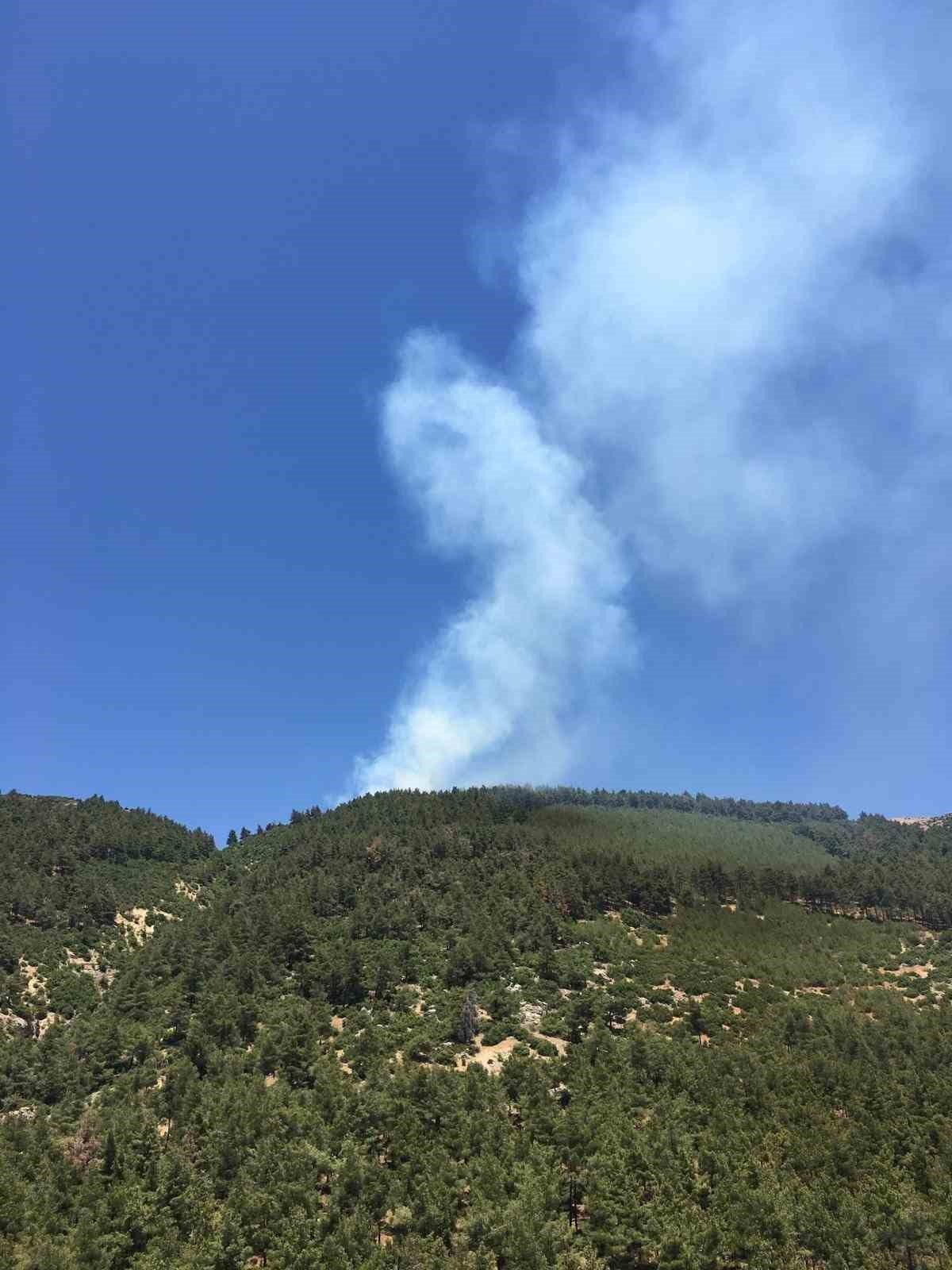 Kahramanmaraş Ahır Dağı’nda çıkan bahçe yangınına müdahale başladı. Yangın, Ahır