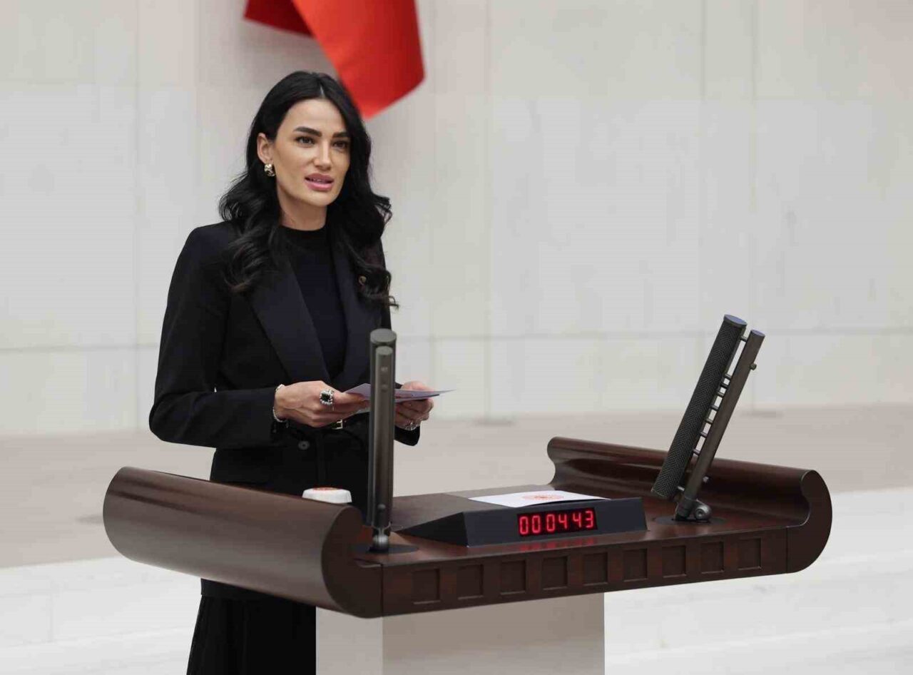 AK Parti Aydın Milletvekili Seda Sarıbaş, İmam Hatipli öğrencilerin LGS