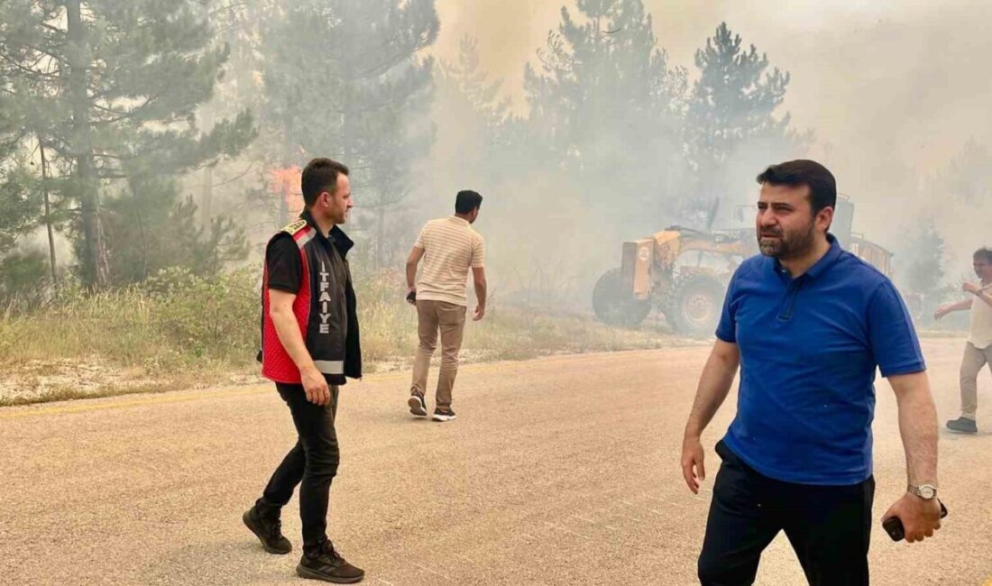 AK Parti Karabük Milletvekili Cem Şahin, 5 gün önce başlayan