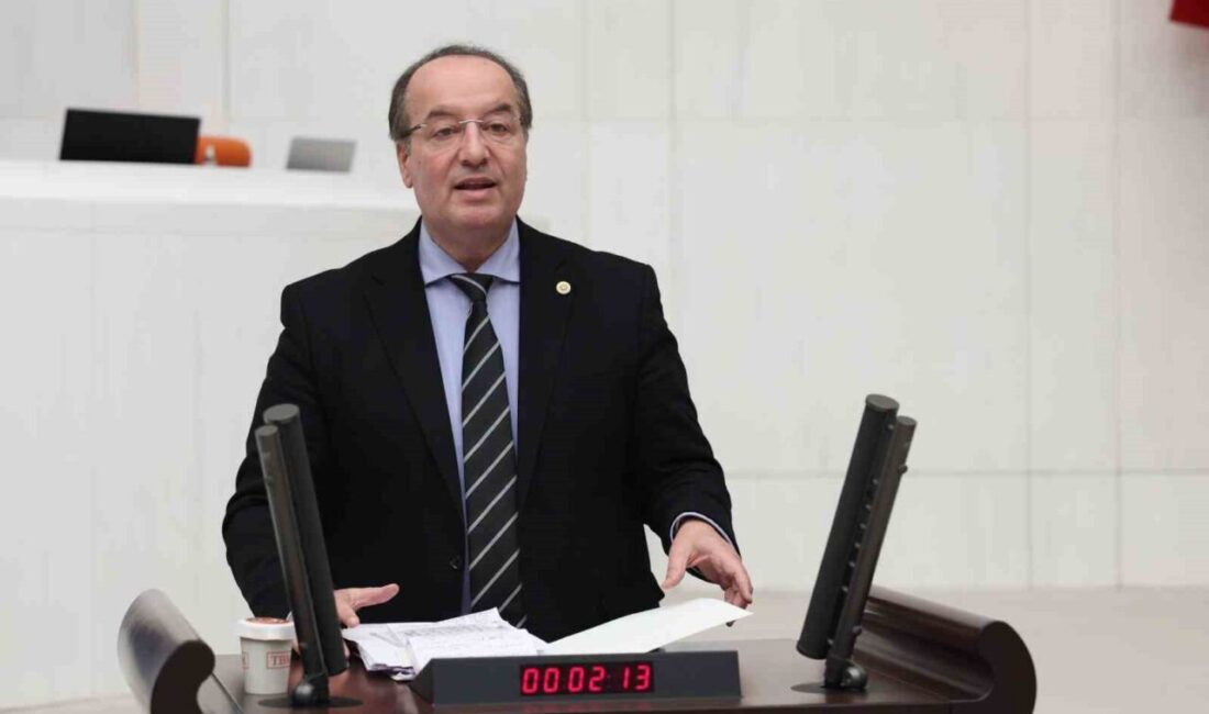 CHP Karabük Milletvekili ve TBMM Plan ve Bütçe Komisyonu Üyesi