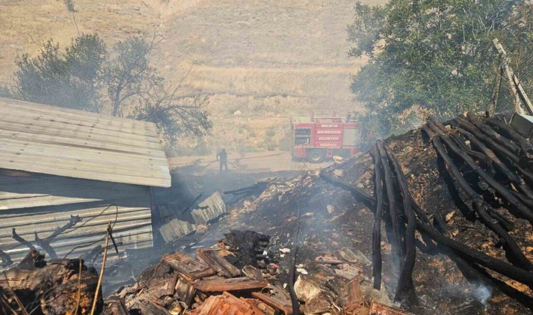 Malatya’nın Akçadağ ilçesinde bir odunlukta çıkan yangın paniğe neden oldu.