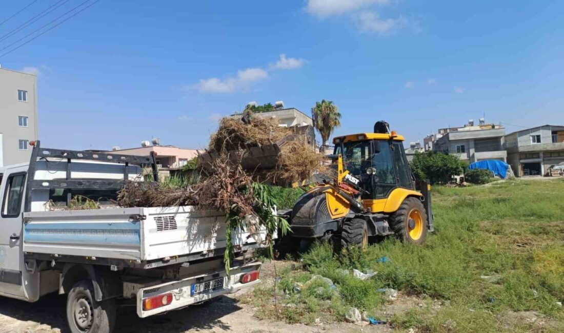 Mersin’in merkez ilçe Akdeniz Belediyesi, ilçe genelinde hem çevre hem
