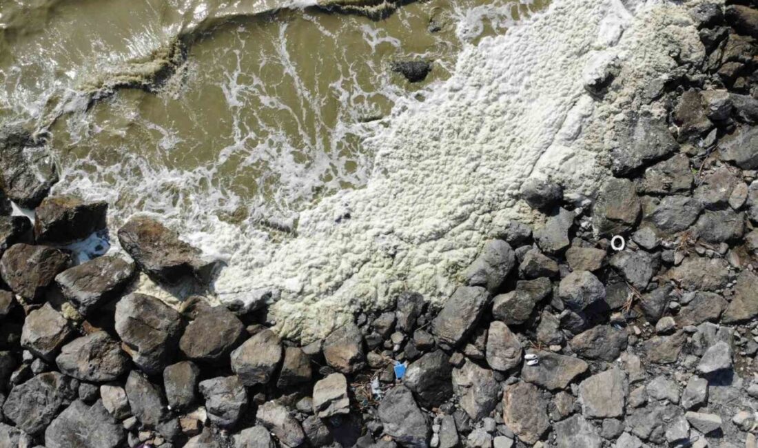 HATAY (İHA) – Hatay’ın Arsuz ilçesi sahilinde su yüzeyinde oluşan