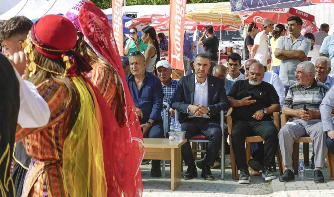 Akkışla Eğitim Kültür ve Dayanışma Derneği tarafından Akkışla Türkmen Festivali
