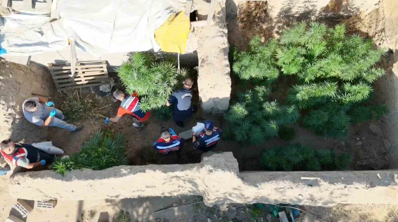 Aksaray’da evinin bahçesinde yasa dışı kenevir yetiştiren şahıs, jandarmanın dron