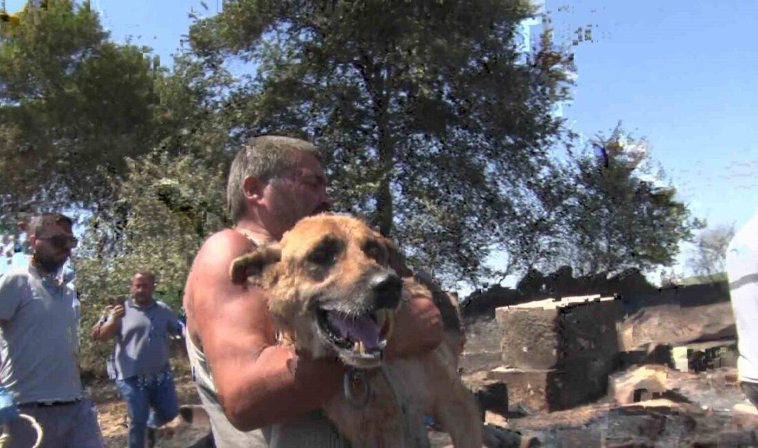 Antalya’nın Aksu ilçesinde ormanlık alanda çıkan yangının soğutma çalışmaları sürerken,