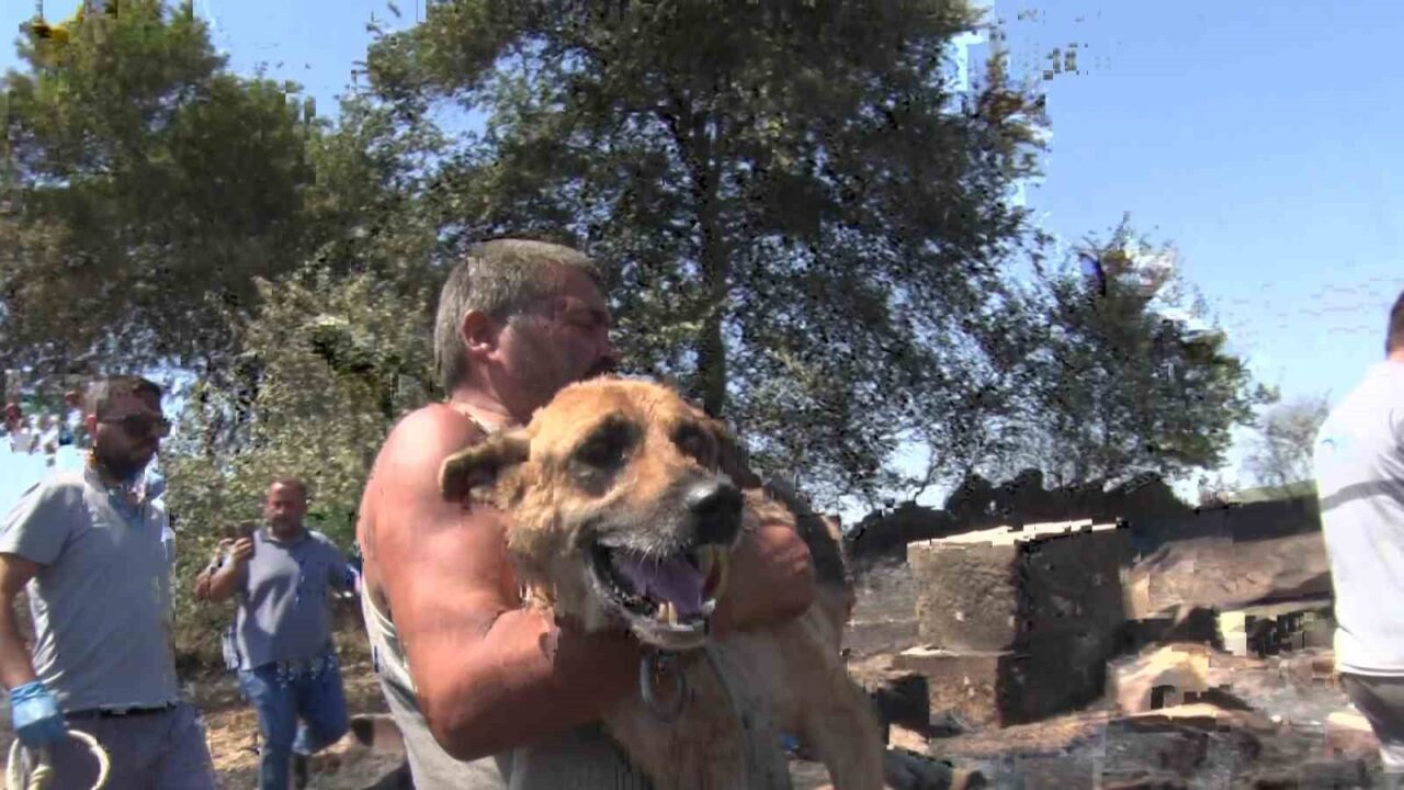 Antalya’nın Aksu ilçesinde ormanlık alanda çıkan yangının soğutma çalışmaları sürerken,