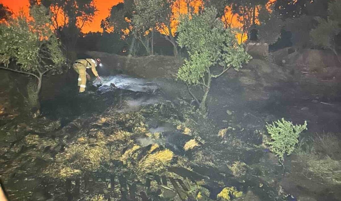 AKUT Arama Kurtarma Derneği’nin Afyonkarahisar ekibi, 2025 Temmuz ayında Bilecik